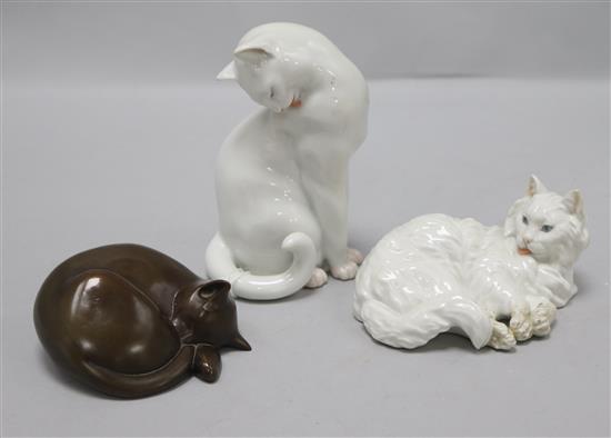 Two porcelain cats and one resin